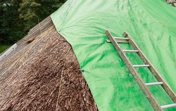 maintaining Poolfold thatch